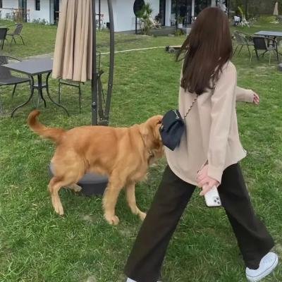 银翼追击